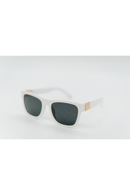Blake Modern Wayfarer Sunglasses